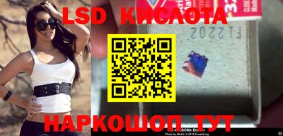 молекула духа Берёзовский