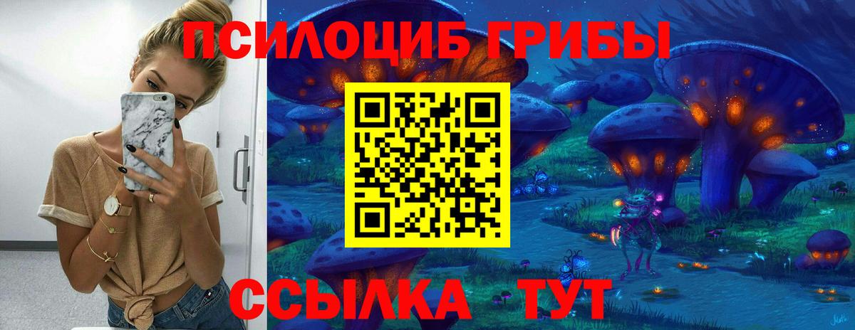 Ирбит  дарнет шоп  Вход с VPN  Галлюциногенные грибы Cubensis 